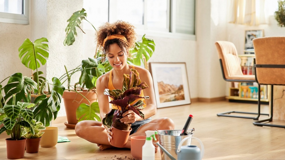 Group Coverage Vs Individual Health Insurance Cost