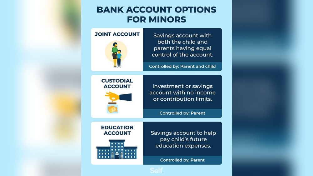 Wells Fargo Custodial Account